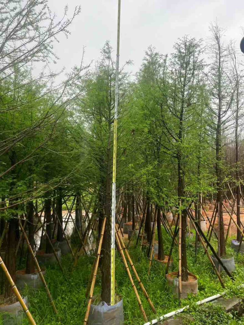 水衫3-25分，基地直销，一手货源，大量现货出售，欢迎选购