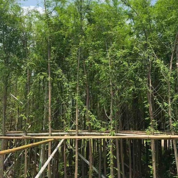 水衫3-25分，基地直销，一手货源，大量现货出售，欢迎选购