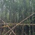 水衫3-25分，基地直销，一手货源，大量现货出售，欢迎选购