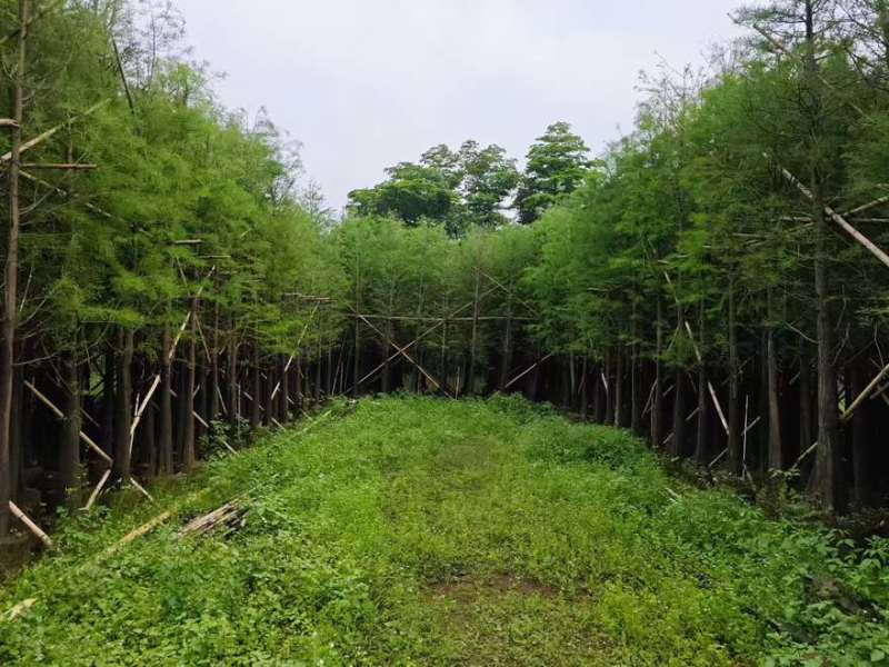 水衫3-25分，基地直销，一手货源，大量现货出售，欢迎选购