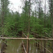 水衫3-25分，基地直销，一手货源，大量低价出售，欢迎选购