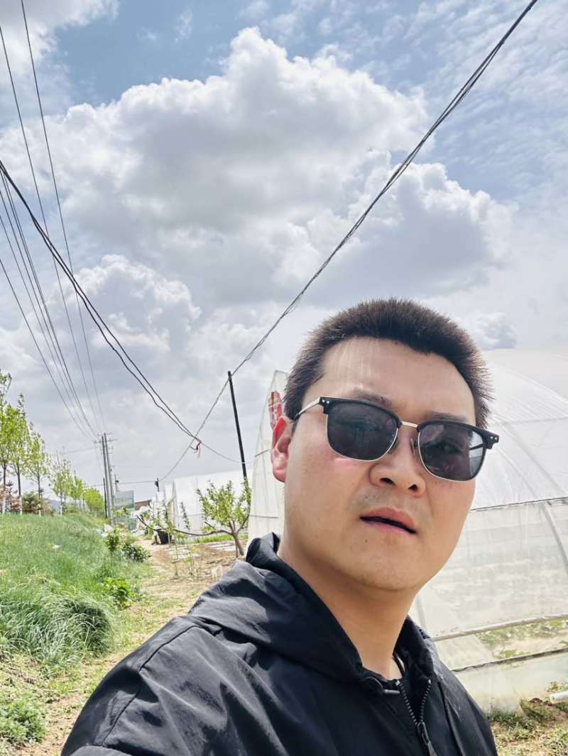 秦安县白脆瓜