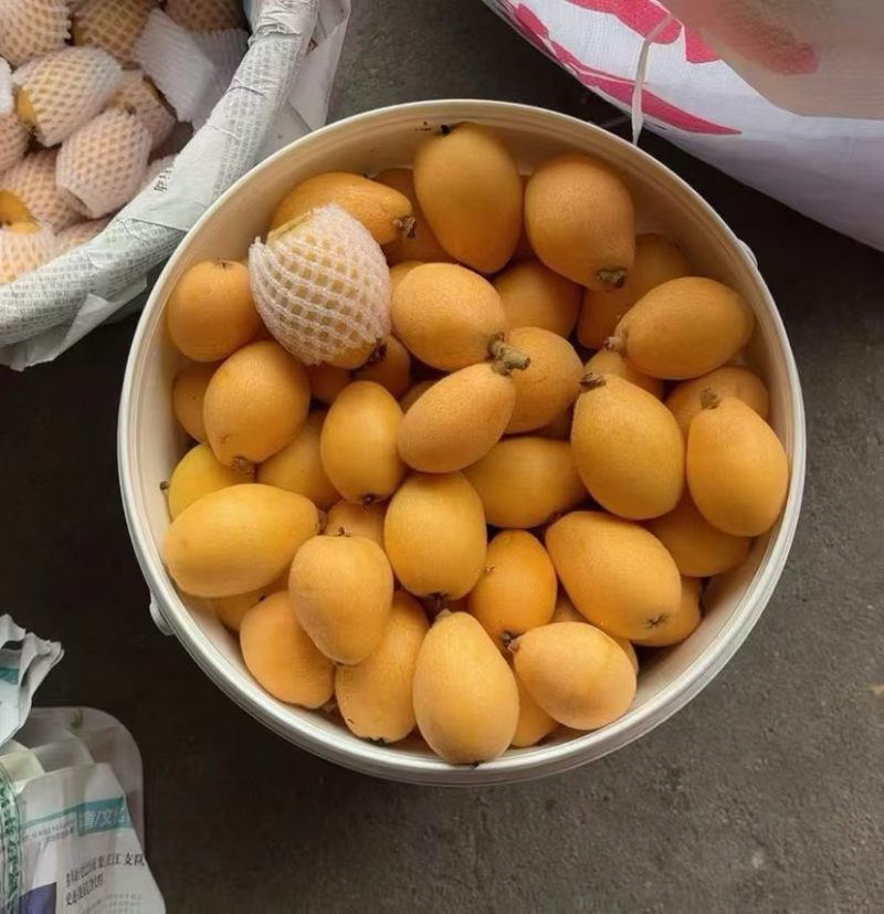 仙游解放钟枇杷