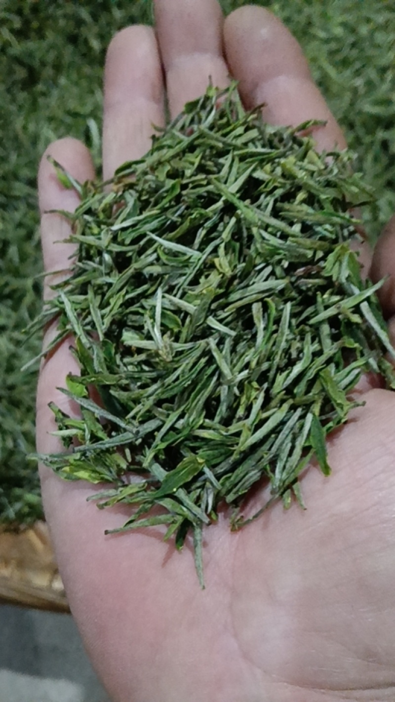 岳西高山翠兰茶