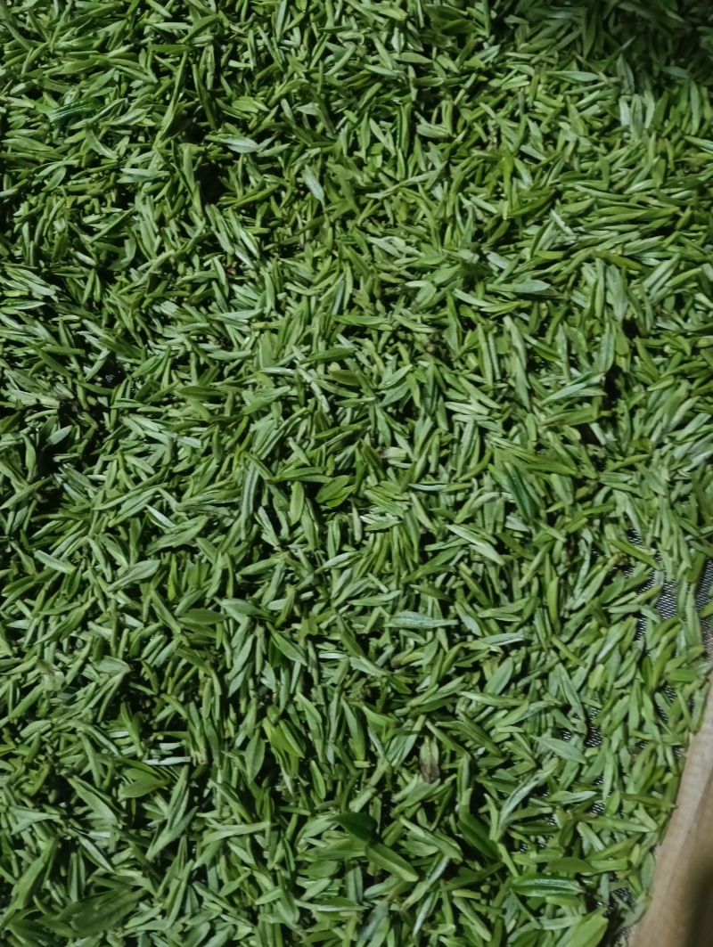 岳西高山翠兰茶