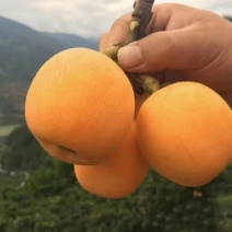 批把