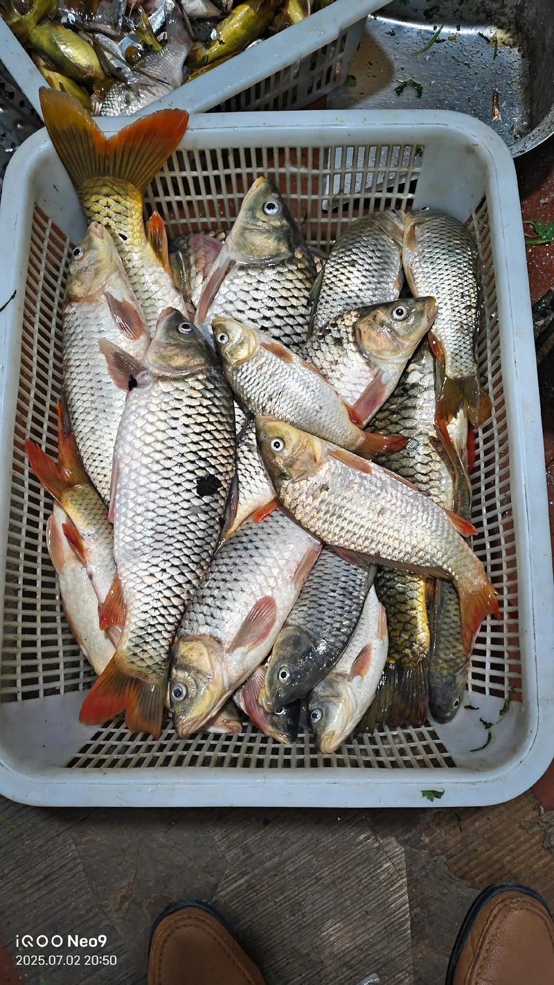寻求收购淡水鱼批发商