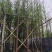水衫3-25分，基地直销，一手货源，规格齐全，欢迎选购
