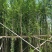 水衫3-25分，基地直销，一手货源，规格齐全，欢迎选购