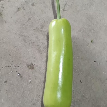 自产自销