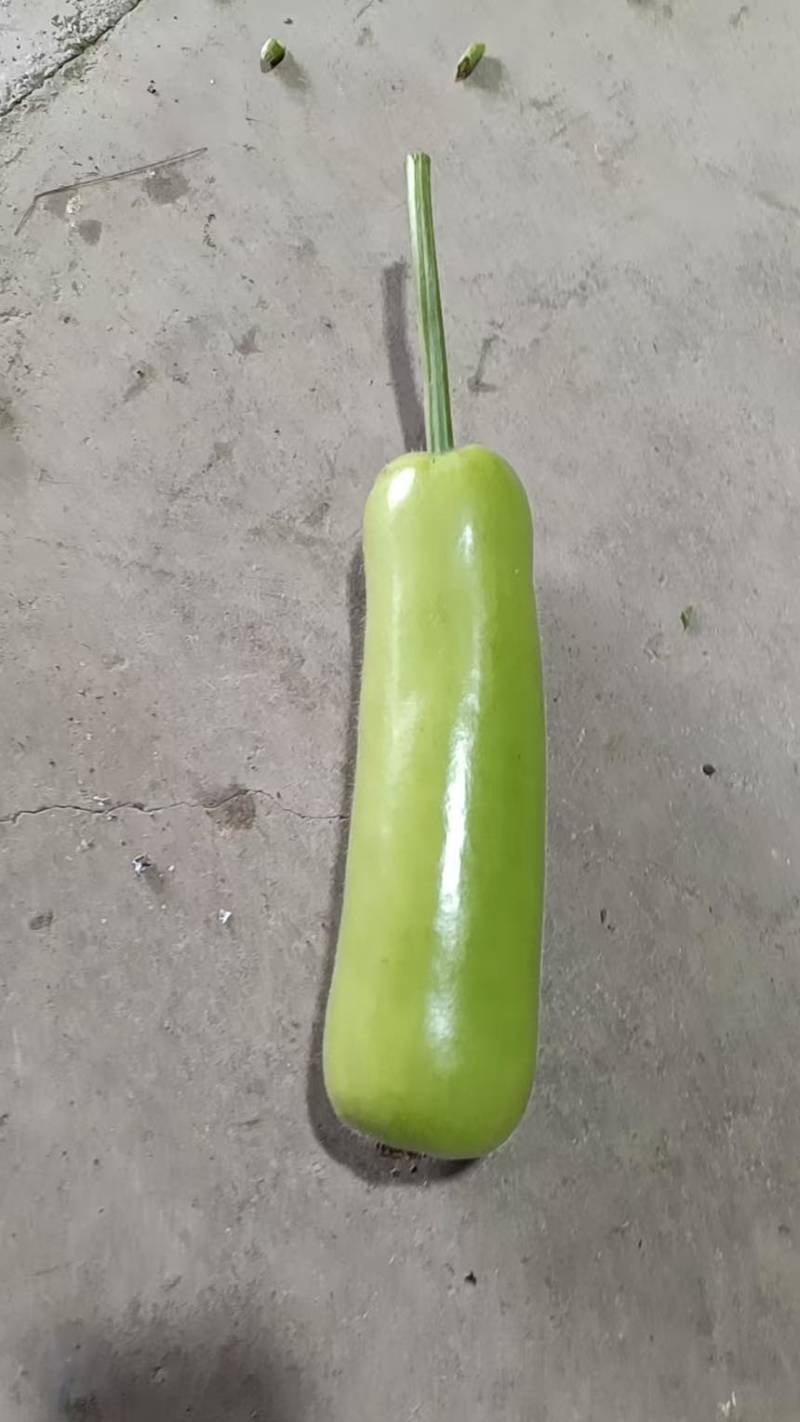 自产自销