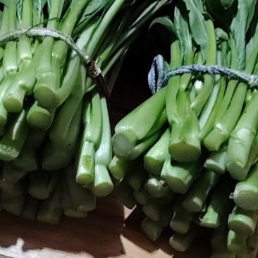 菜心