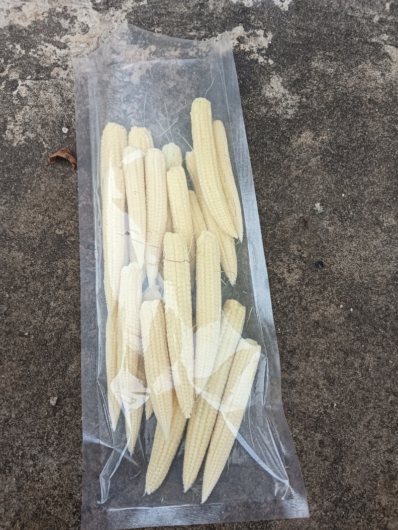 新鲜糯玉米笋，