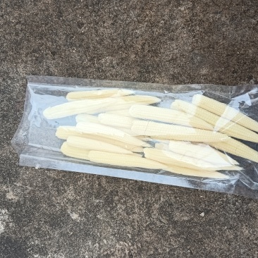 新鲜糯玉米笋，