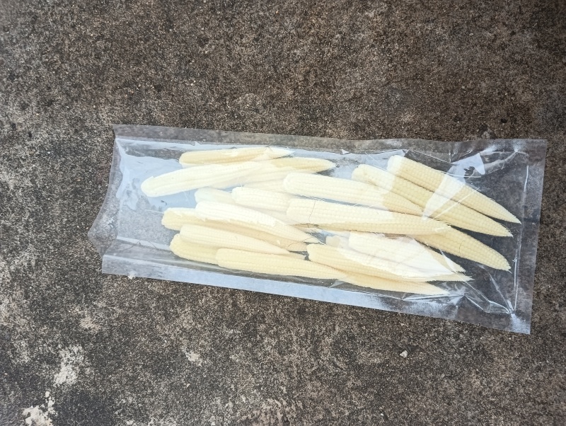新鲜糯玉米笋，