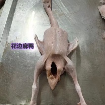 工厂直销，资质齐全，量大优惠