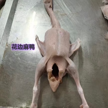 工厂直销，资质齐全，量大优惠