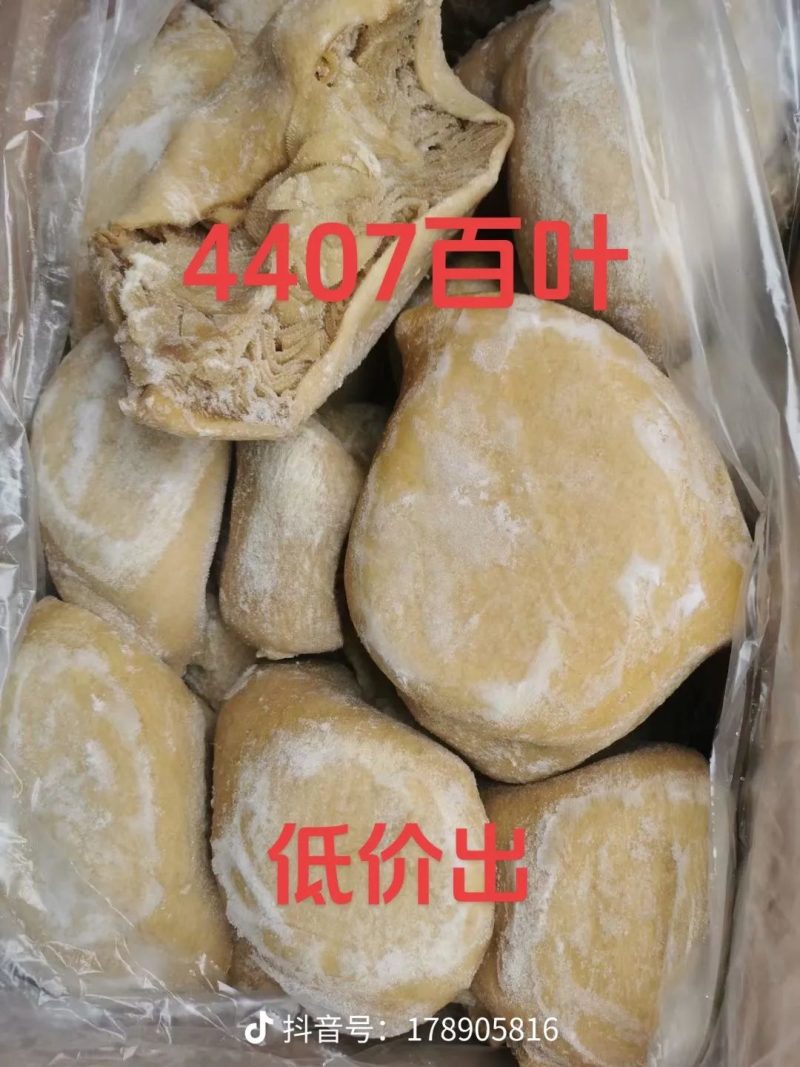 阿根廷🇦🇷4407牛百叶