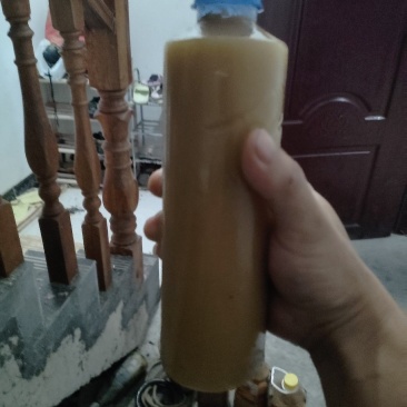 中发土蜜蜂🐝