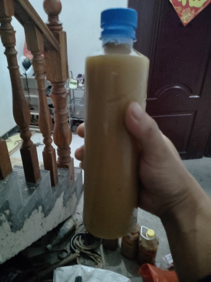中发土蜜蜂🐝