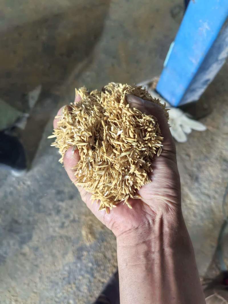 稻壳统糠筛糠