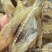 自己鱼网捕捞野生鱼干