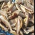 自己鱼网捕捞野生鱼干