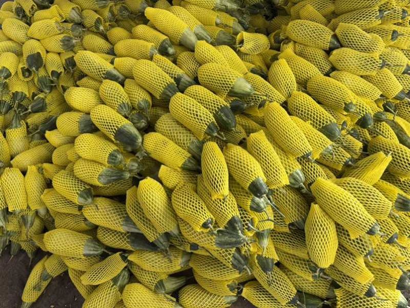 各种菜椒