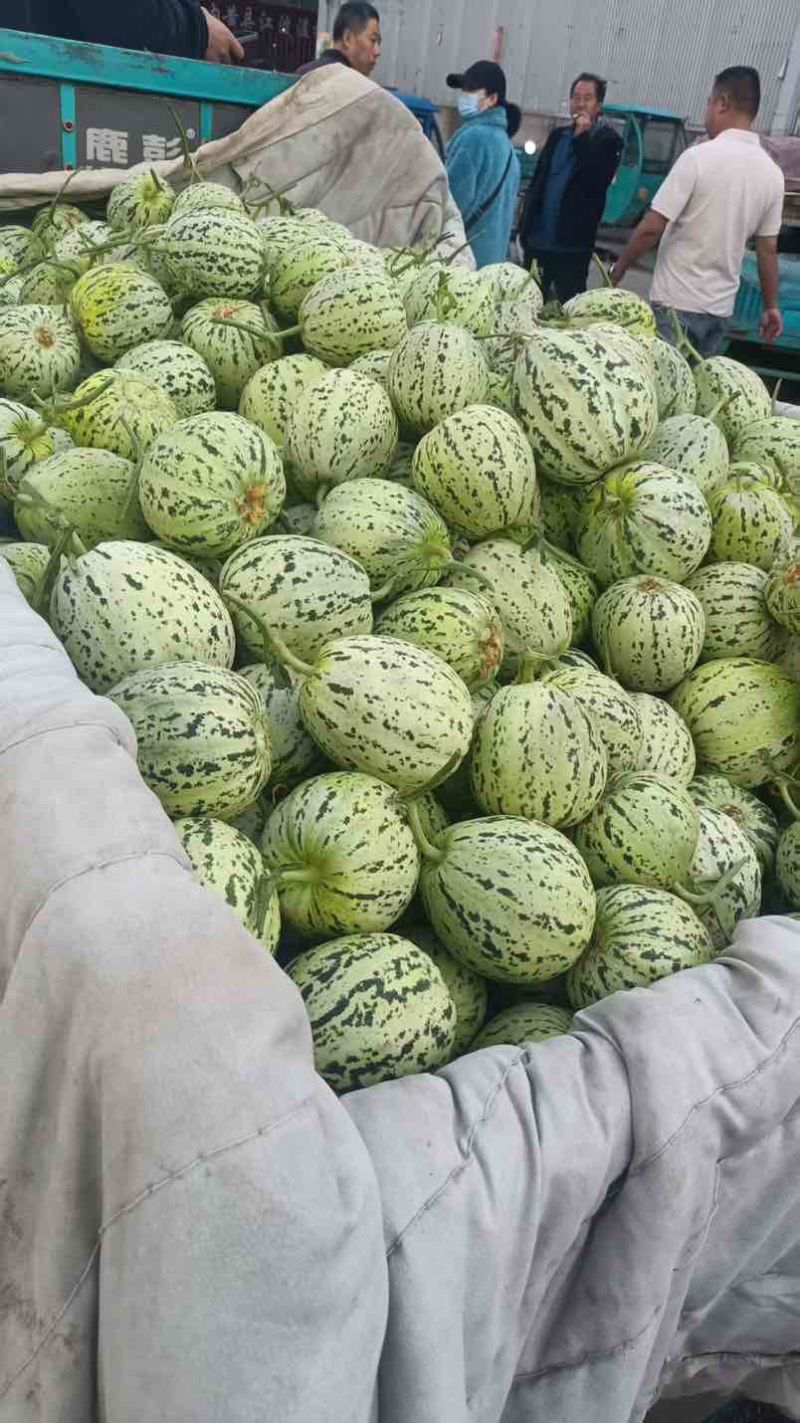 各种菜椒