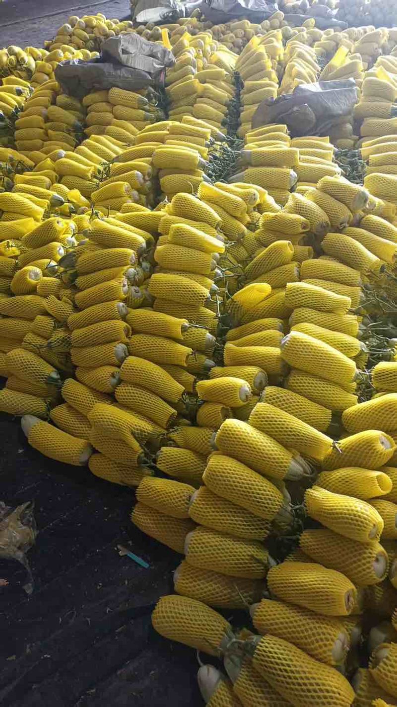 各种菜椒