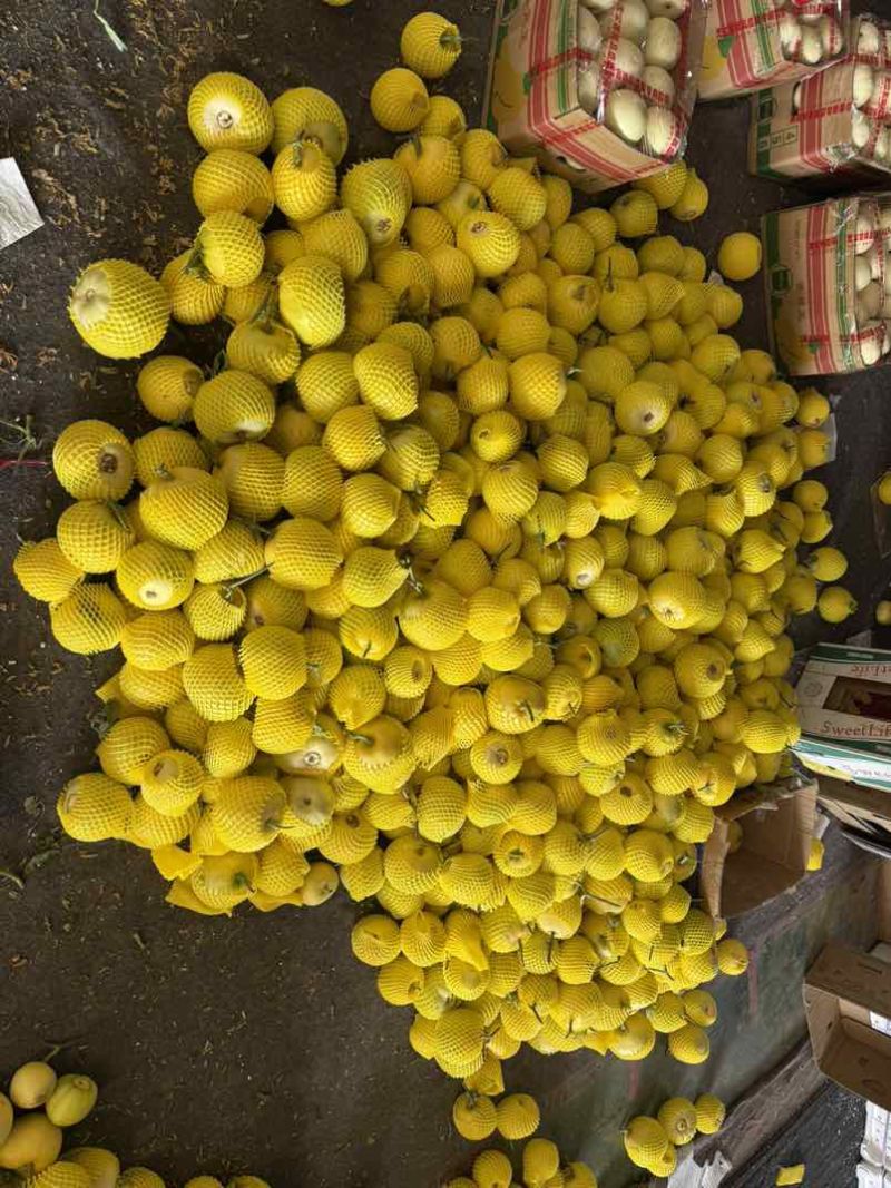 各种菜椒