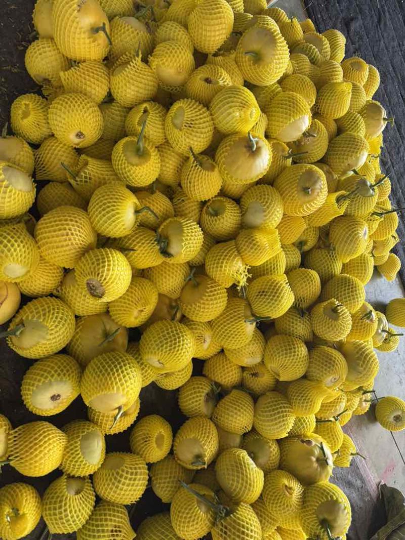 各种菜椒