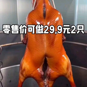 调理鸭丕厂家直销，不需要腌制，直接烤，省时省力