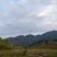 武陵山土蜂蜜