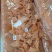 三文鱼碎肉