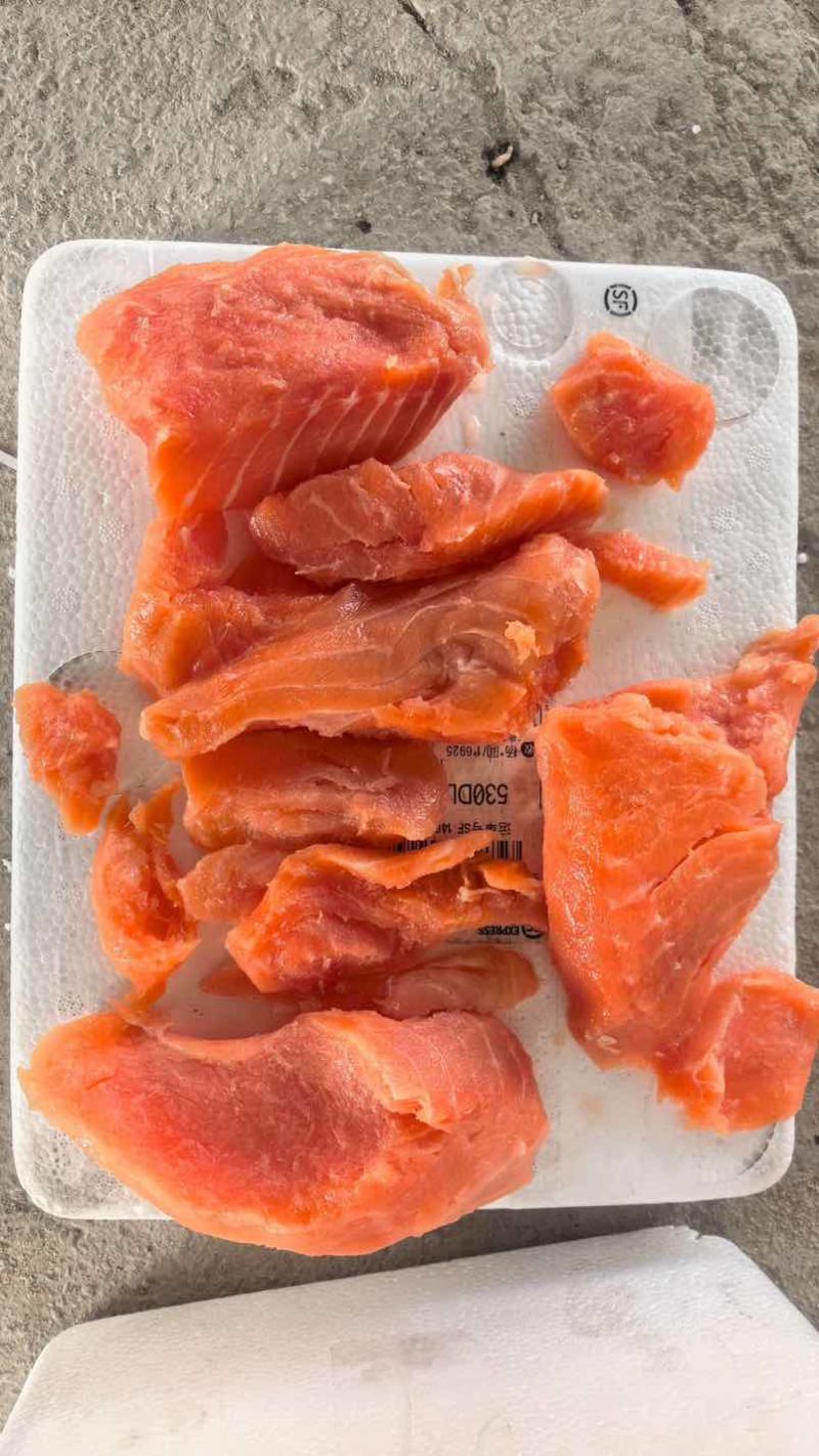 三文鱼碎肉