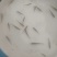 白斑狗鱼苗