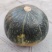 花板栗南瓜大量现货