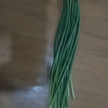 山东蒜苔