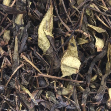 凤凰单丛茶头奶茶原料鸭屎香蜜兰香源头产地直供量大价优
