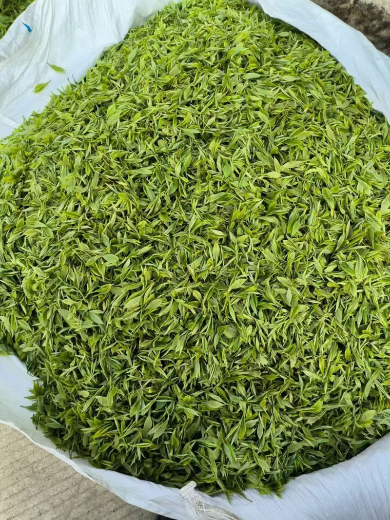普洱茶