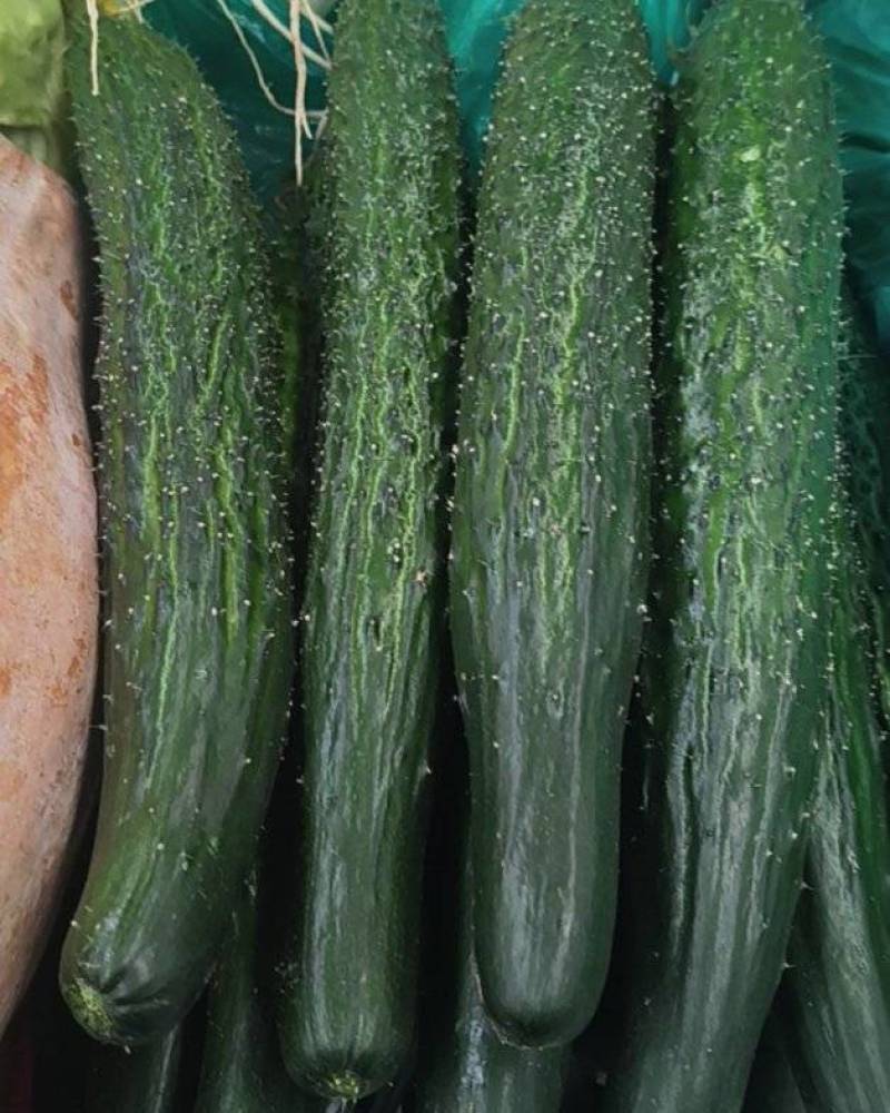 生鲜蔬菜