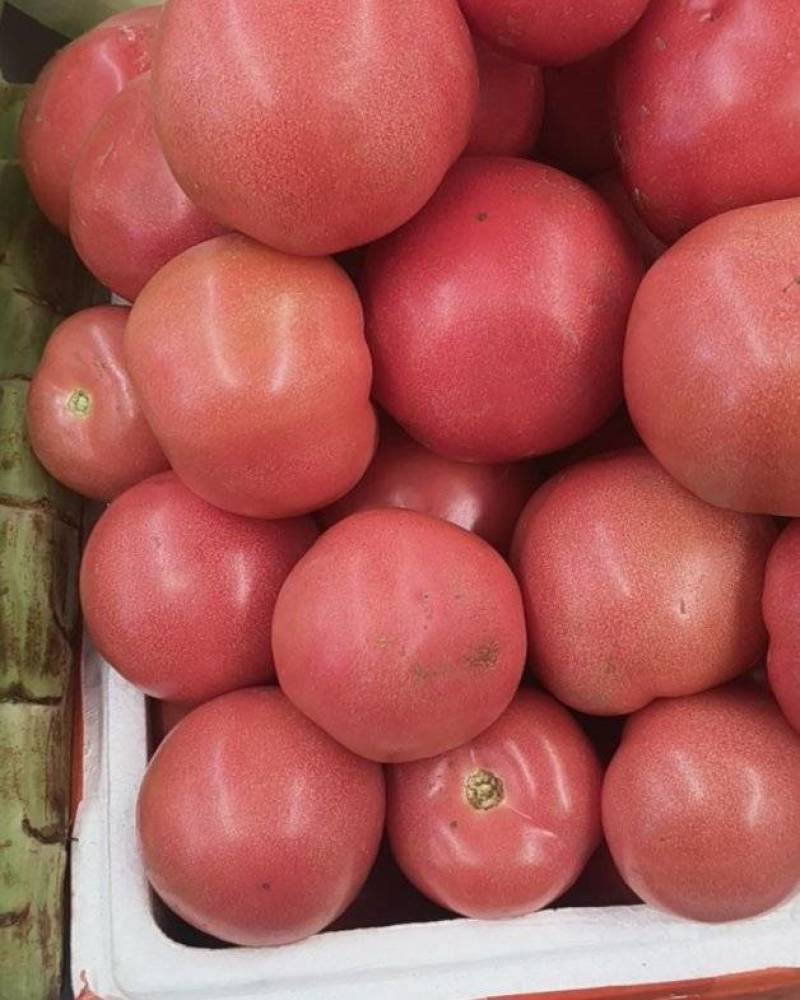 生鲜蔬菜