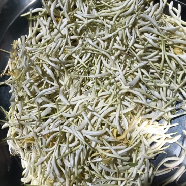 各种药材