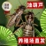 活体蟋蟀