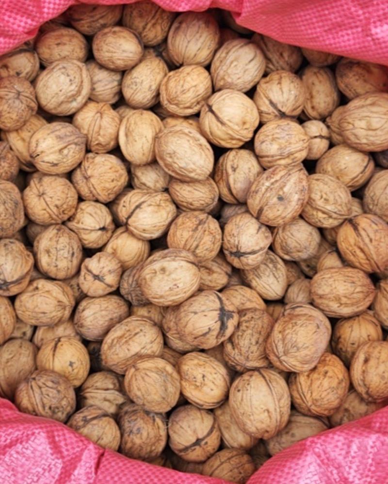 大姚核桃