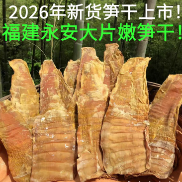 福建永安毛竹笋干