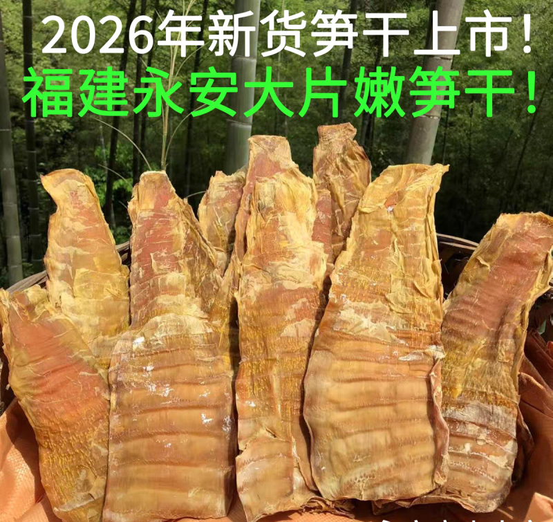 福建永安毛竹笋干