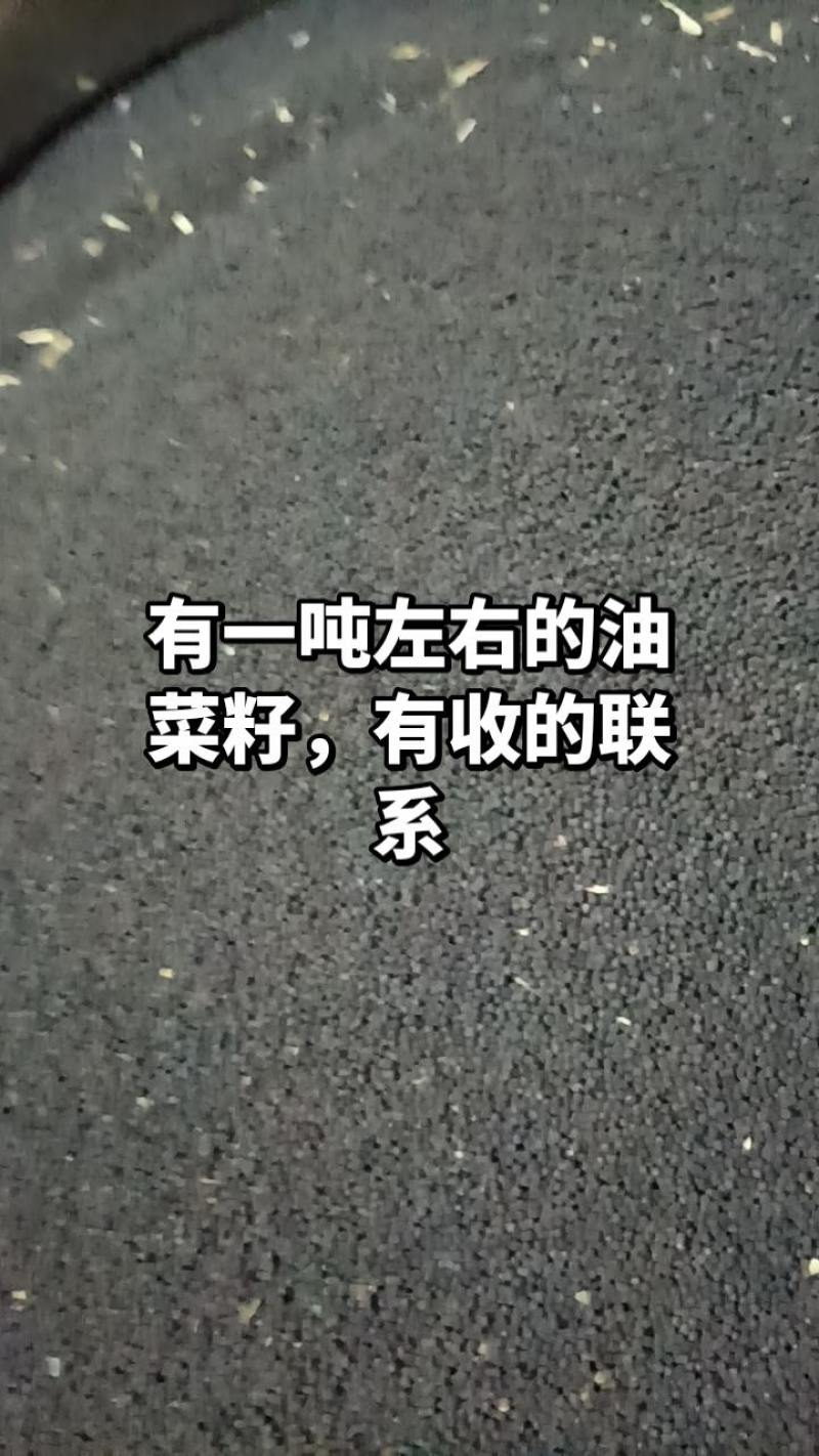 有油菜籽卖