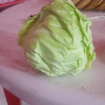 台湾高丽菜